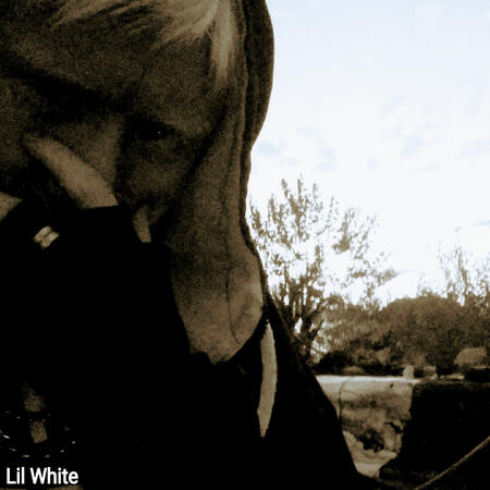 Lil White